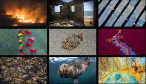 Environmental Photographer of the Year winners revealed 