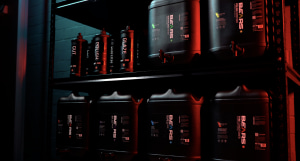 New Bears detailing range