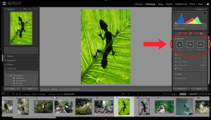 Video: A complete guide to masking in Lightroom