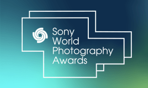AI wins major photo award