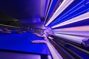 Optical sorters for processed protein