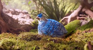 Quailia: Vow forges ahead, cultivating &ldquo;entirely new animal&rdquo;