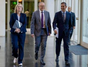 BUDGET 2024: A Future Made for certain industries