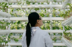 Land of Plenty: Australia a food superpower, if we want to be