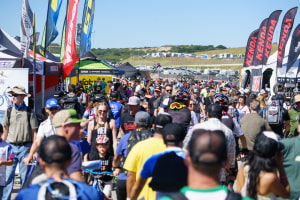 Sea Otter suspends regos but delays call on cancellation