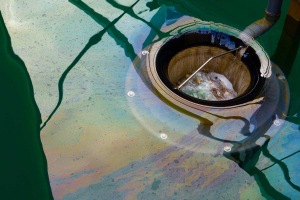 Seabin steps up plastic fight in Sydney&rsquo;s waterways