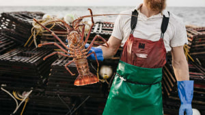 Australia-UK FTA launches 1 June
