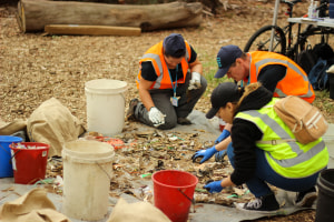 Polystyrene tops marine plastic ahead of national ban