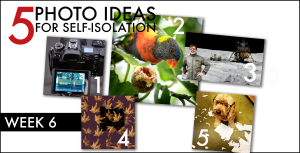 Photo Tips for Isolation: Week 6