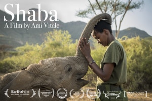 Ami Vitale&rsquo;s film, 'Shaba', supports orphan elephant rehabilitation