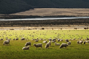 South Australia to solve circular fashion crisis