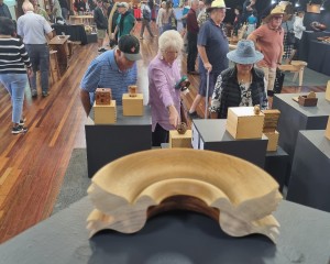 Sunshine Coast Wootha Prize: call for entries