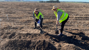 Simplot and EFWA: Chipping away at food loss