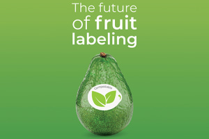 Compostable fruit label in timelapse showcase