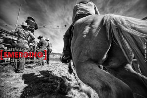 35 Top Tips to Winning Australasia's Top Emerging Photographers 2020 (part 1)
