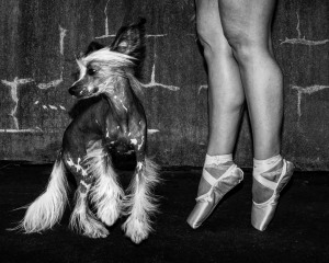 Australasia's Top Emerging Photographers 2022: Single Shot, Winner