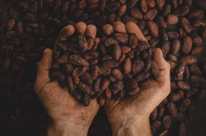 Fairtrade praises crackdown on modern slavery