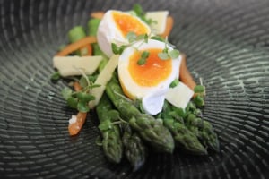 $20m facility targets safe egg niche