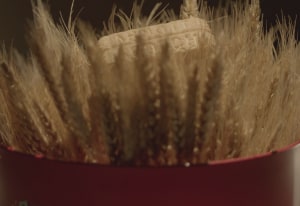 Arnott&rsquo;s Group outlines sustainability path 