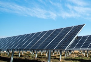 Fresh energy for Australian companies