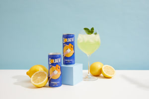 Solbevi: Shining like the sun