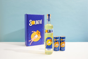 Solbevi: The relentless life of a start-up