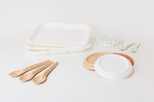 Solenis joins PulPac&rsquo;s dry moulded fibre network