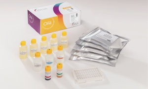 New salmonella test from Key Diagnostics 