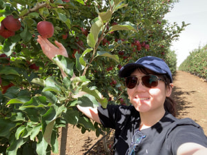 Stopping piracy in the high trees