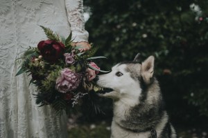 2018 Australasia's Top Emerging Photographers: Wedding, Winner