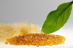 SPE A-NZ to hold biopolymers intro webinar