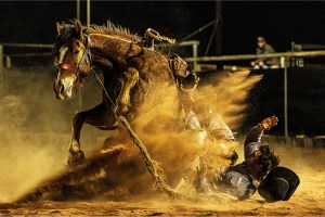 Walkley Awards celebrates Australia's best photojournalism