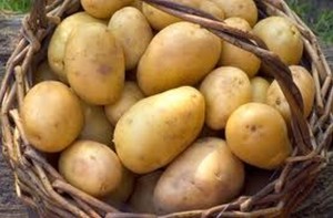 Spud study: consumer sentiment tracked