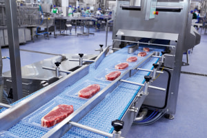 Financing the future of fresh protein