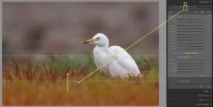 Lightroom: A step-by-step guide to targeted adjustments (Part one)