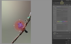 Lightroom: A step-by-step guide to targeted adjustments (Part two)