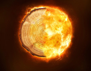 Tree rings offer insight into Miyake events