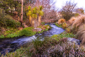 Landscape Awards 2024: Earlybird entries close soon!