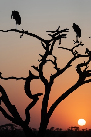 Mike George &ndash; Australasia&rsquo;s Top Emerging Photographers 2023 &ndash; Featured entry