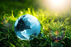 Sustainability: The global lens