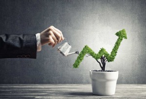 Aus Post & Banksia: Sustainable roadmap for SMEs