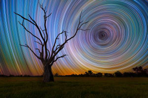 Photo tip of the week: How to take startrail photographs