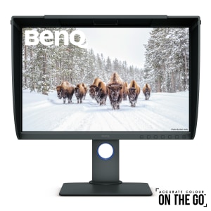 BenQ SW240 24-inch colour accurate monitor