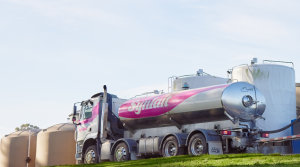 Synlait performance update: &ldquo;A marked improvement&rdquo;