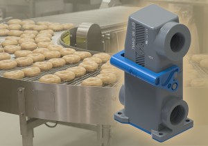 Detectable solution for food processing industry