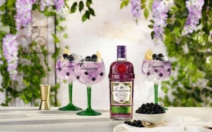 Tanqueray intros new Blackcurrant Royale range
