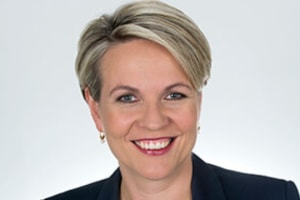 Boomerang welcomes Plibersek, urges plastic review