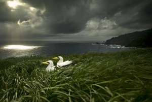 Power of perspective - better wildlife photography (Part one)