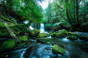 A photographer's guide to exploring Tasmania's wilderness