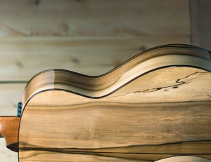 Tonewoods: woods that suit musical instrument making